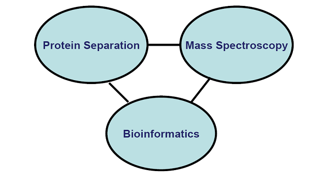 Components of Proteomics